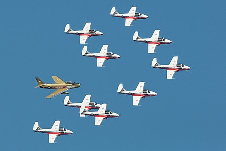 Snowbirds with Hawk One (3898092751).jpg