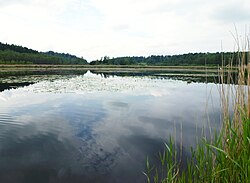 View of lake