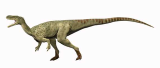 <i>Spinostropheus</i> Extinct genus of dinosaurs