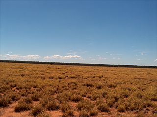 <span class="mw-page-title-main">Ballaroo, Queensland</span> Suburb of Maranoa Region, Queensland, Australia