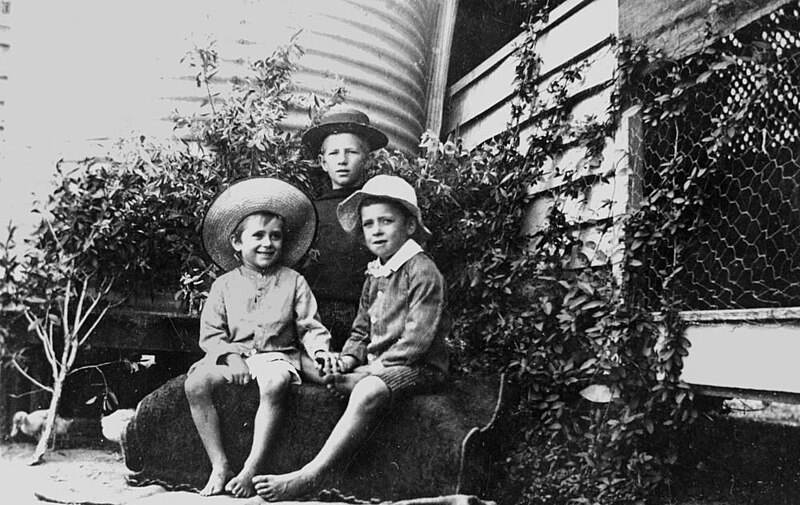 File:StateLibQld 1 128794 Charles Arnold and his two brothers, ca. 1908.jpg