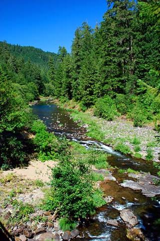 <span class="mw-page-title-main">Steamboat Creek (Umpqua River tributary)</span>