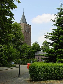 De middeleeuwse Steenselse toren.