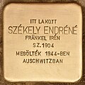 Stolperstein für Székely Endréné - Endréné Székely (Eger).jpg
