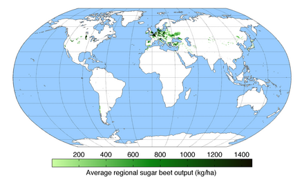 Worldwide sugar beet production
