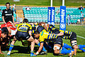 Sydney Stars scrum down