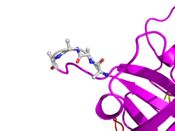 In TNK-tPA, these amino acids have been replaced by four Alanines. This mutation is responsible for increased resistance to PAI-1.