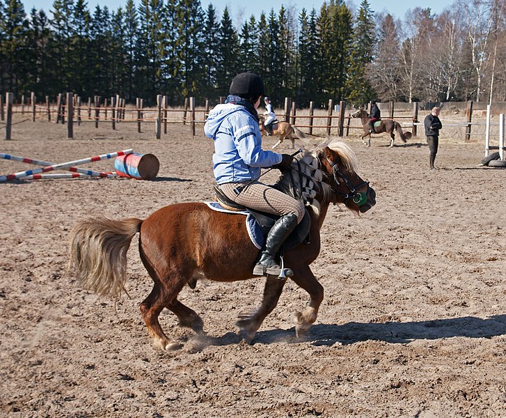 File:Teppo harjoittelemassa.jpg