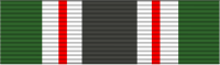 Texas Iraqi Campaign Medal Service Ribbon.svg