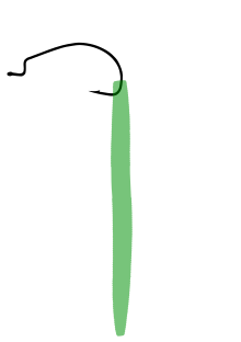 Insert the point of the hook into the nose of the bait, pushing the hook back out of the lure about
.mw-parser-output .frac{white-space:nowrap}.mw-parser-output .frac .num,.mw-parser-output .frac .den{font-size:80%;line-height:0;vertical-align:super}.mw-parser-output .frac .den{vertical-align:sub}.mw-parser-output .sr-only{border:0;clip:rect(0,0,0,0);clip-path:polygon(0px 0px,0px 0px,0px 0px);height:1px;margin:-1px;overflow:hidden;padding:0;position:absolute;width:1px}
1/4 inch (6.4 mm) from the nose of the lure. Texas Rig Diagram 1.svg