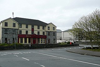 <span class="mw-page-title-main">R338 road (Ireland)</span> Road in Ireland