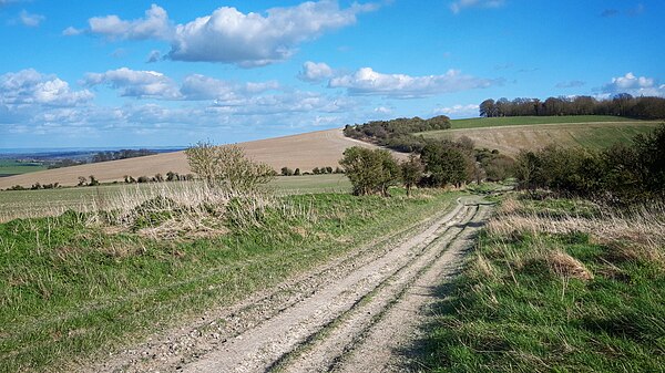 The Ridgeway winds over the Berkshire Downs