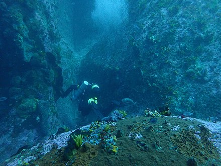 Recreational scuba diving at Whittle Rock reef