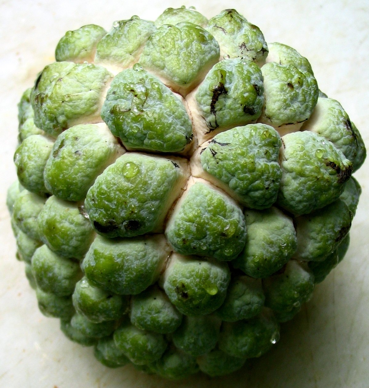 File The Strangest Fruit Yet Jpg Wikimedia Commons