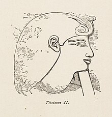 Thotmes II. (1884) - TIMEA.jpg