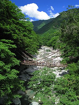 Tokushima Miyoshi Iyanokazurabashi 1