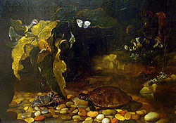 Paolo Porpora, Tortoise and Crab, Musee des Beaux-Arts de Nancy, 1656 Tortue et crabe P Porpora Nancy 3018.jpg