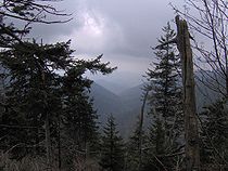 The remote Buck Fork Valley, looking west from Tricorner Knob, near 6,000 feet