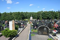 Troekurovo Cemetery Graves.jpg