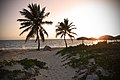 Tropical beach sunset.jpg