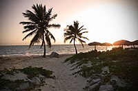 Tropical beach sunset.jpg