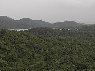 Tulsi Lake lake in India