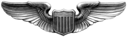 USAAF Wings.png 