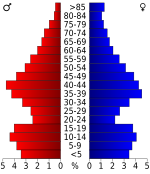 Population pyramid