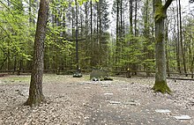 The crash site in 2017 Upamietnienie miejsca katastrofy lotniczej w Lesie Kabackim 2017.jpg