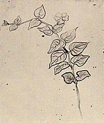 Van gogh branch with leaves auvers f1614 jh2060.jpg