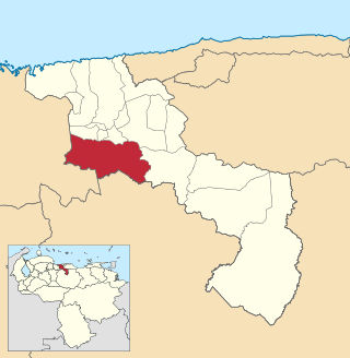 Venezuela - Aragua - Zamora.svg