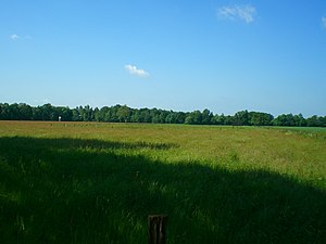 View of part of the protection area