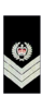 Vic-Polizei-Senior-Sergeant.png