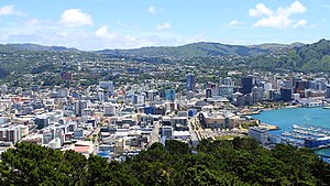 Panorama von Wellington