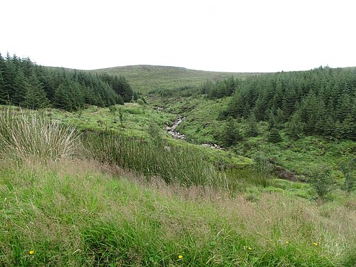 View upstream along the valley of the Yellow Water River - geograph.org.uk - 4619444