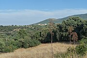 Vista del entorno de Almendral de la Cañada desde la carretera CM-5005.