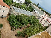 Botanical garden shot from above