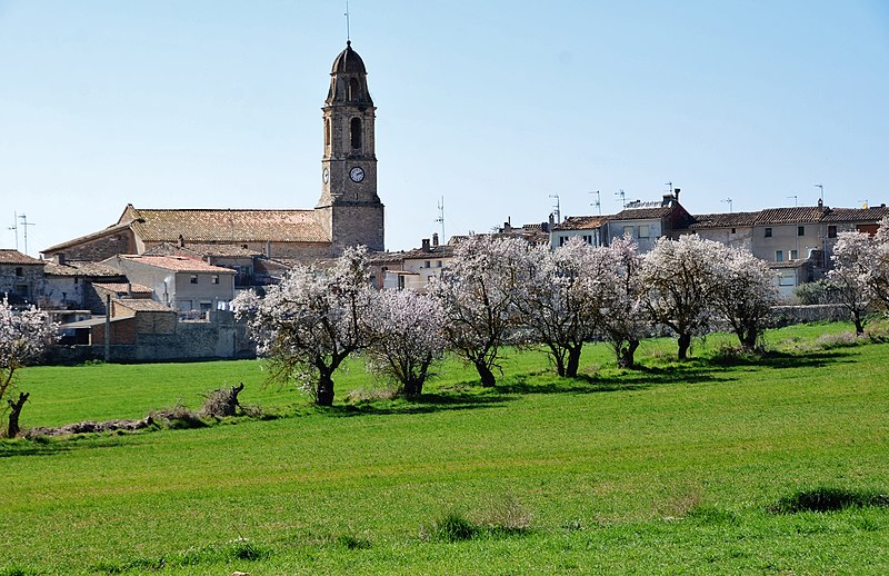 File:WLM14ES - Església parroquial de Sant Salvador, Rocafort de queralt, conca de Barberà - MARIA ROSA FERRE.jpg