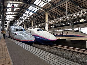 Trenes E2 y E4 en la estación de Niigata