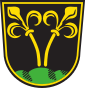 Wappen Traunstein.svg