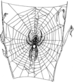 Web (PSF).png