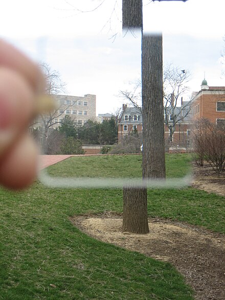 Figure 2. View through 10 factor wedge prism of a "Borderline" tree.