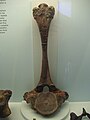 The upper back (thoracic) vertebra of the West Runton Mammoth exhibited at Cromer Museum.