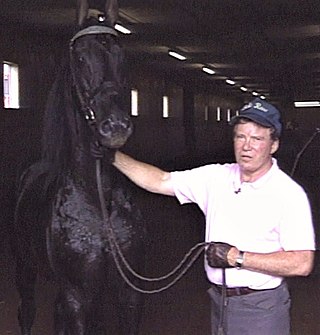 <span class="mw-page-title-main">Belle Reve Farm</span> Horse farm in Kentucky owned by William Shatner.