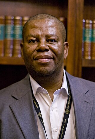 <span class="mw-page-title-main">Winston Rabotapi</span> Member of the North West Provincial Legislature in South Africa