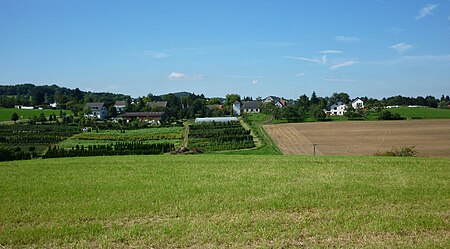 Wintersberg, von Osten