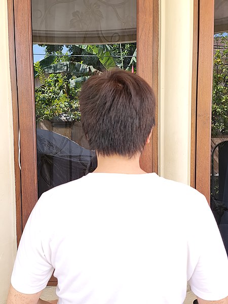 File:Young man with short brown hair from behind (16 August 2021) 01.jpg