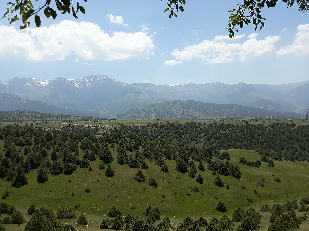 Заамин узбекистан фото