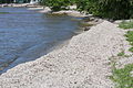 "Zebra_mussels_line_shore_on_Green_Bay_at_Red_River_County_Park_in_Kewaunee_County_Wisconsin.jpg" by User:Royalbroil