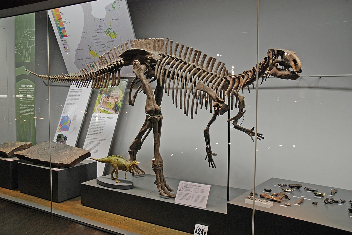 フクイサウルス - Wikipedia